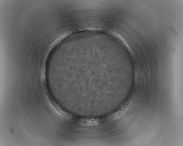 X0000111010443200907060958