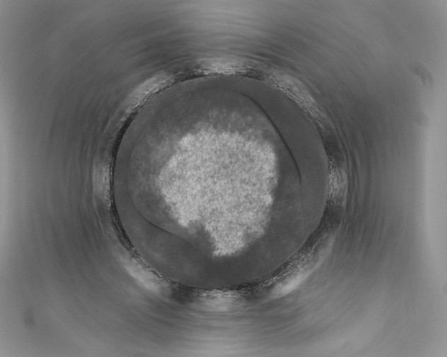 X0000111010444200907060958