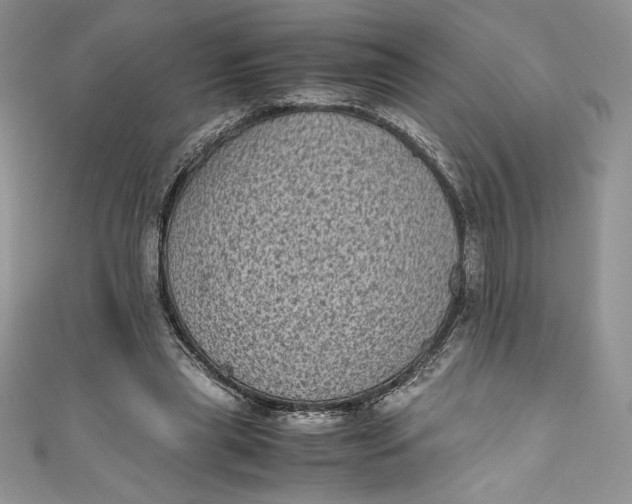 X0000111010445200907060958