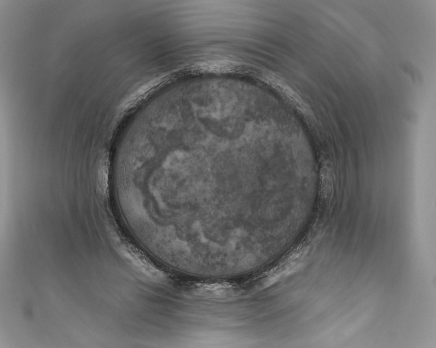 X0000111010446200907060958