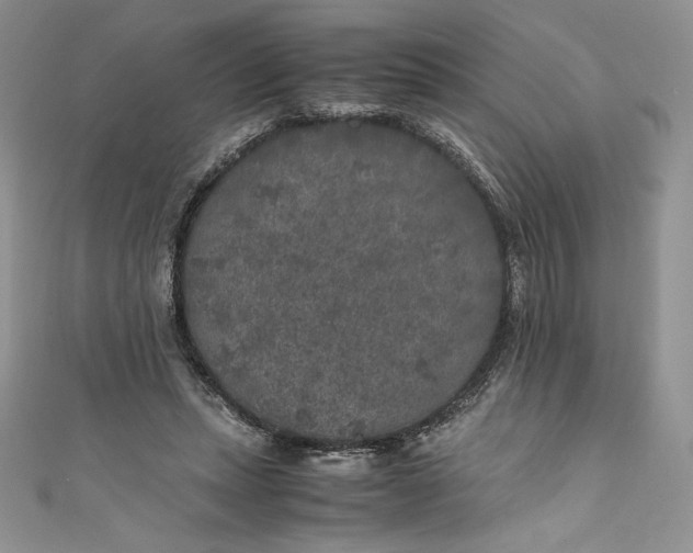 X0000111010447200907060958