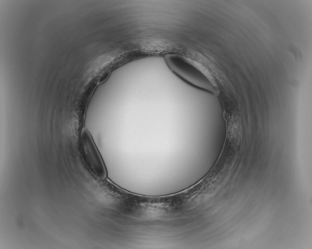 X0000111010448200907060958