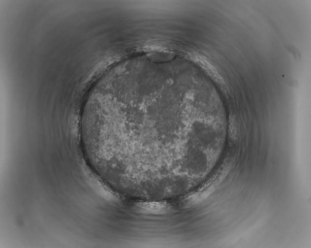 X0000111010449200907060958