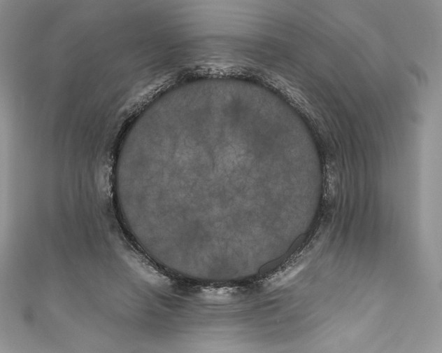 X0000111010450200907060958