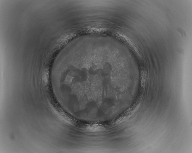 X0000111010451200907060958