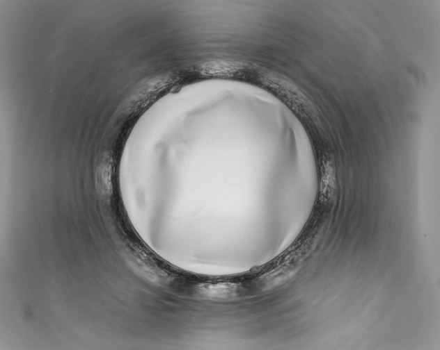 X0000111010452200907060958