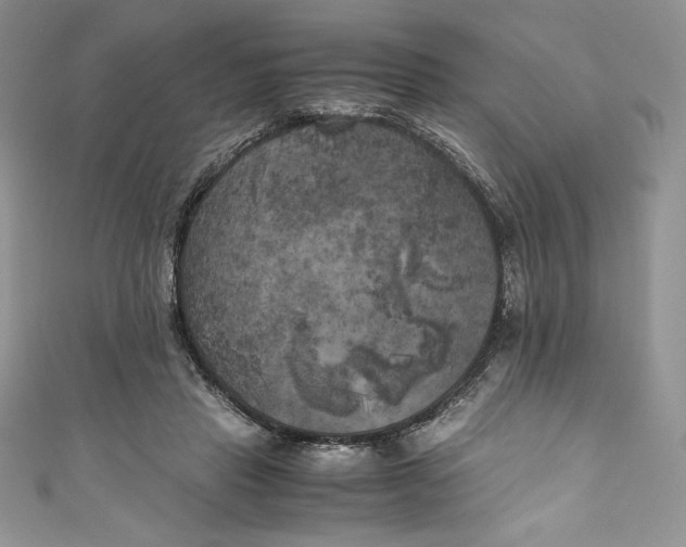 X0000111010453200907060958