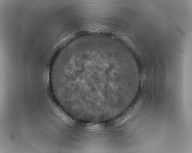 X0000111010454200907060958