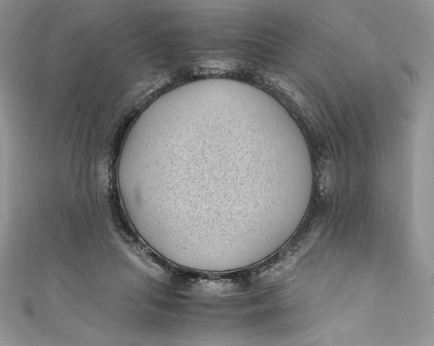 X0000111010455200907060958