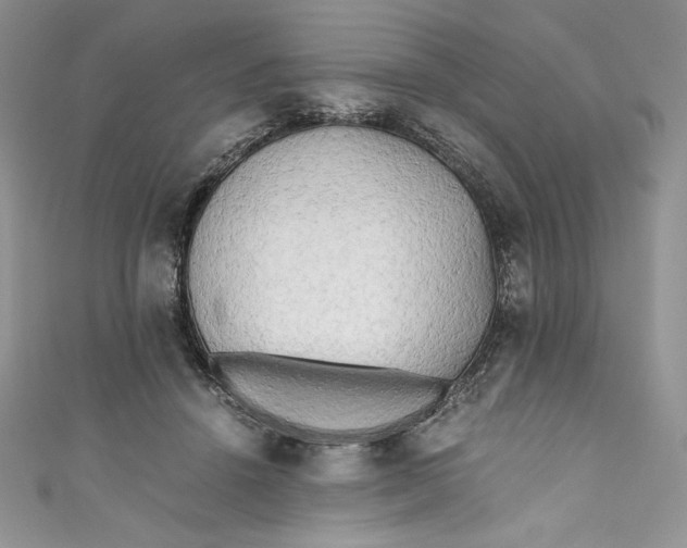X0000111010456200907060958