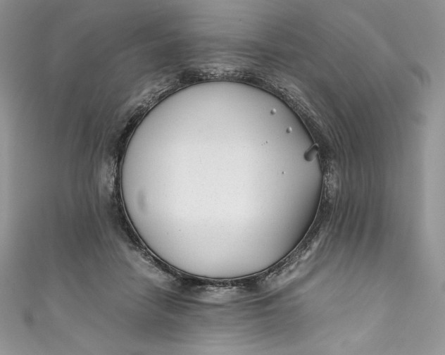 X0000111010458200907060959