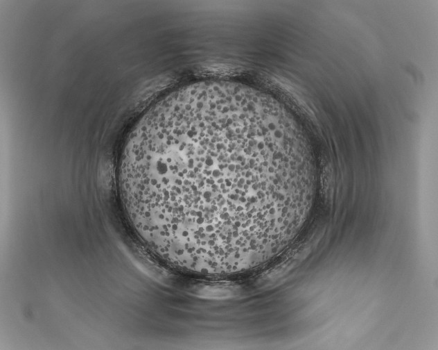 X0000111010459200907060959