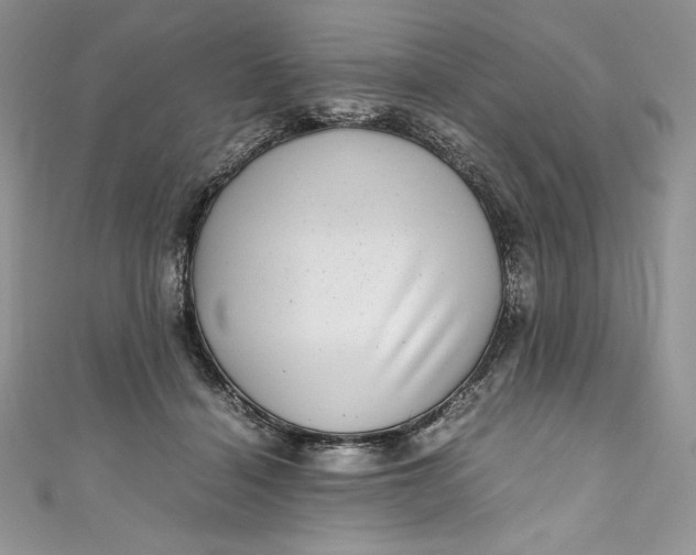 X0000111010460200907060959
