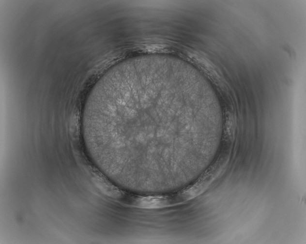 X0000111010461200907060959