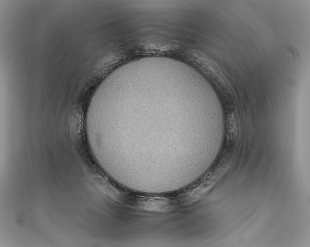 X0000111010463200907060959
