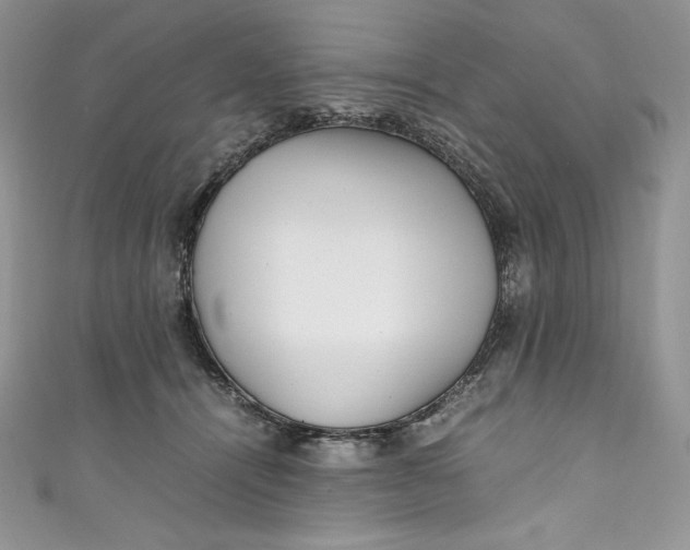 X0000111010464200907060959