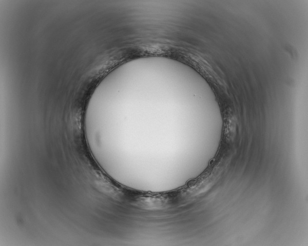 X0000111010466200907060959