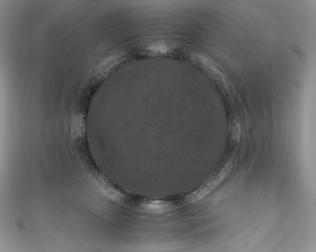 X0000111010467200907060959