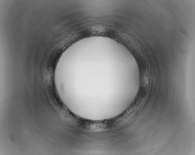 X0000111010468200907060959