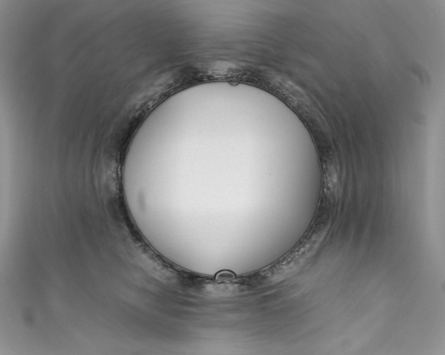 X0000111010470200907060959