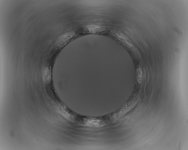X0000111010471200907060959