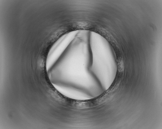 X0000111010472200907060959