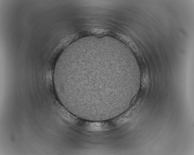 X0000111010473200907060959