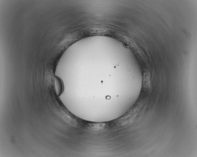 X0000111010474200907060959