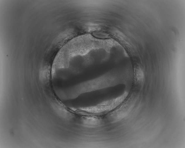 X0000111010475200907060959