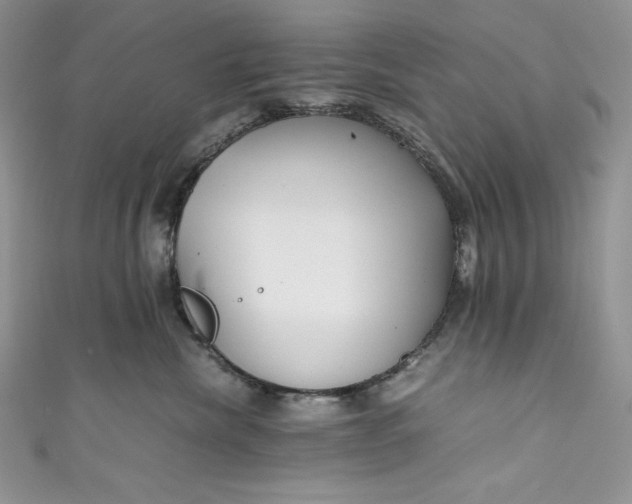 X0000111010476200907060959
