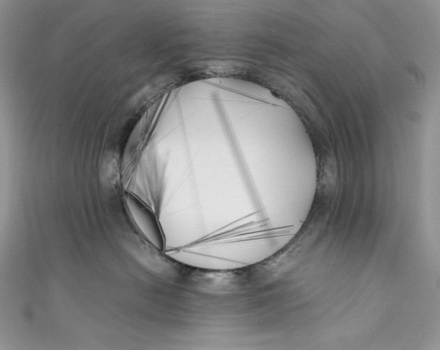 X0000111010478200907060959