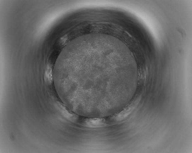 X0000111010479200907060959