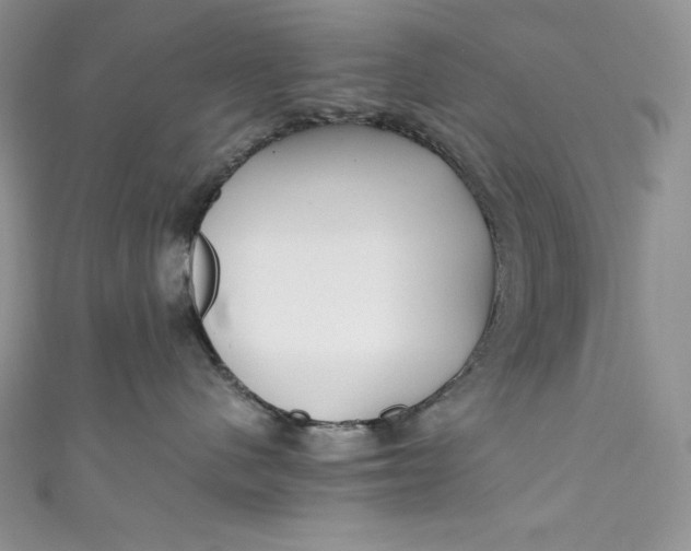 X0000111010480200907060959