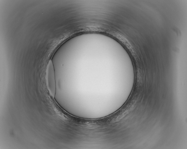 X0000111010481200907060958