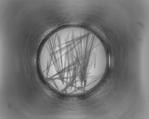 X0000111010483200907060958