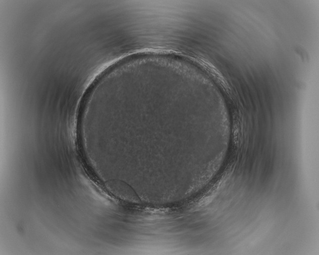 X0000111010484200907060958