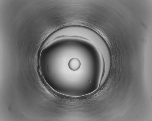 X0000111010485200907060958