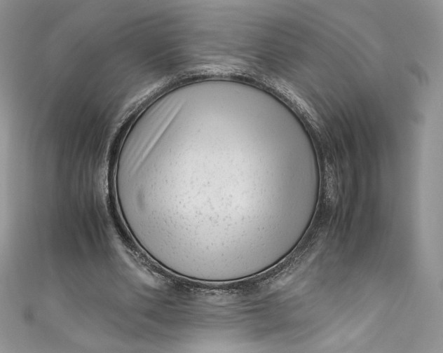 X0000111010486200907060958