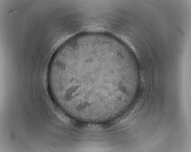 X0000111010487200907060958