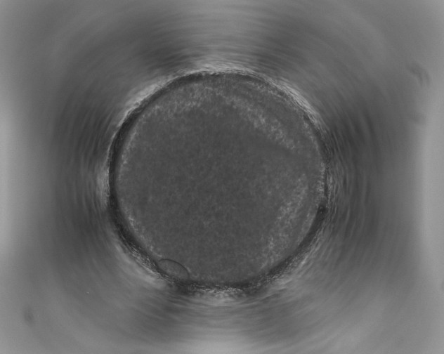 X0000111010488200907060958