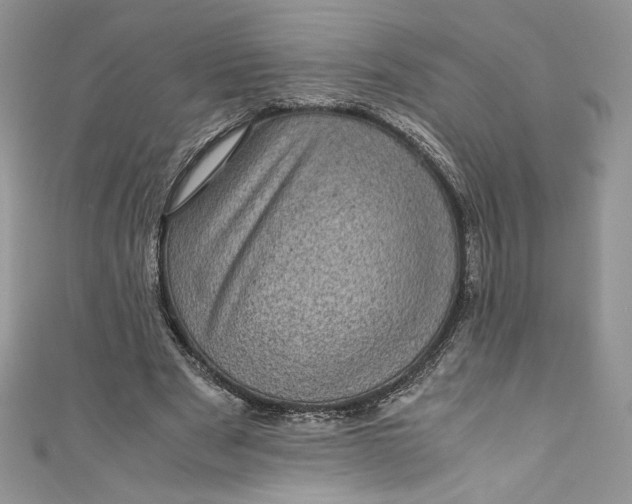 X0000111010489200907060958