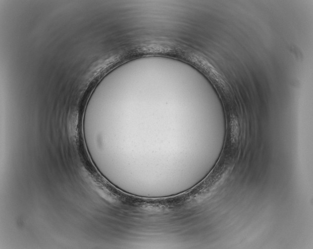 X0000111010490200907060958
