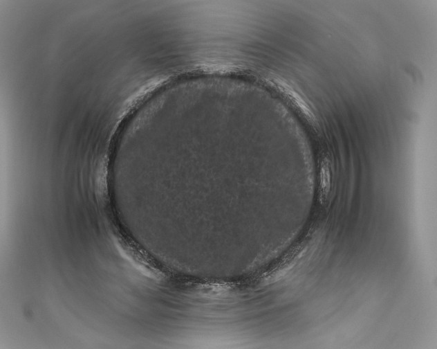 X0000111010492200907060958