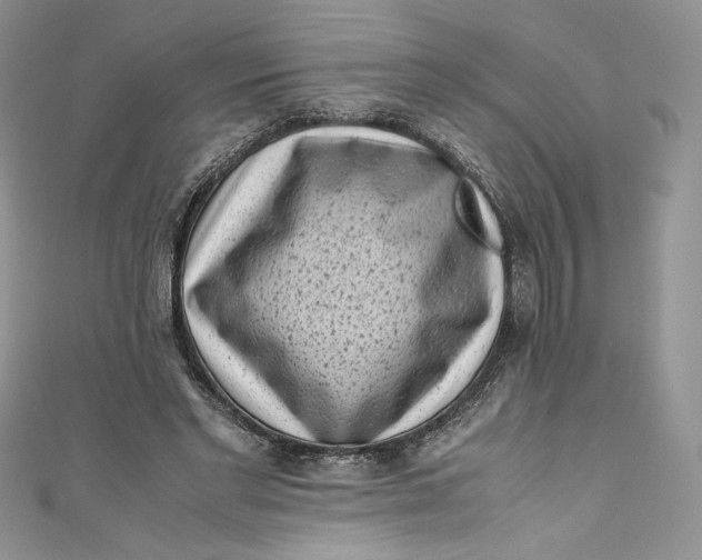X0000111010493200907060958