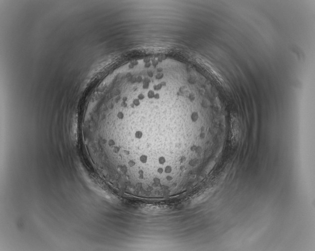 X0000111010494200907060958