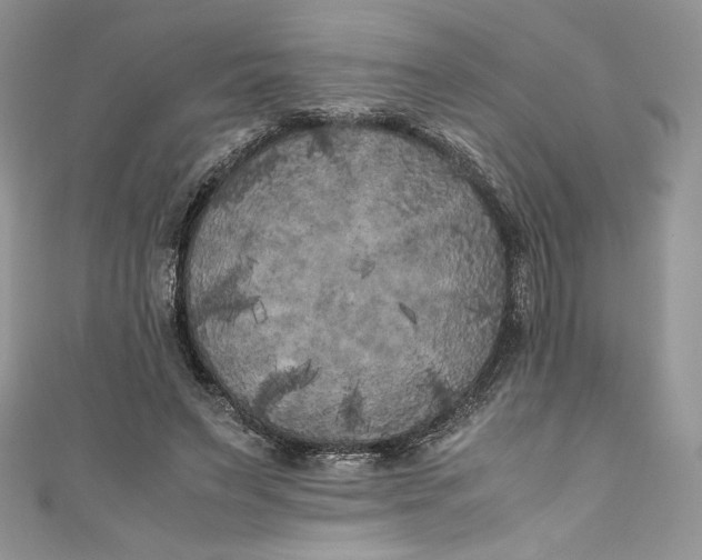 X0000111010495200907060958