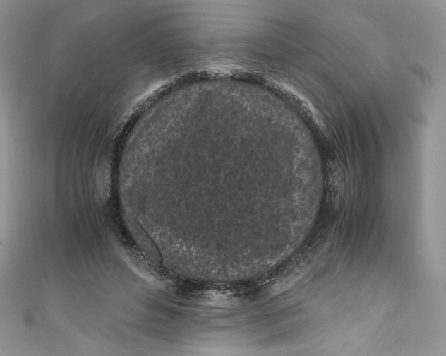 X0000111010496200907060958