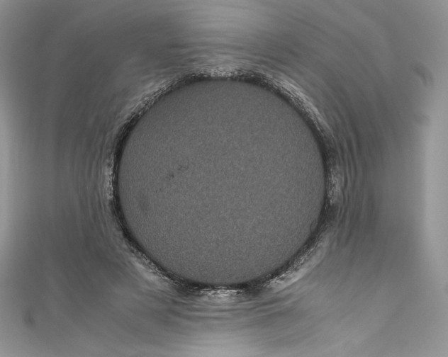 X0000111010497200907060958