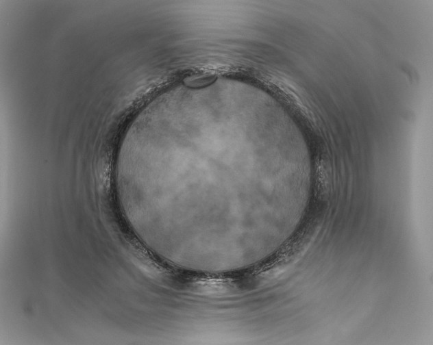 X0000111010499200907060958