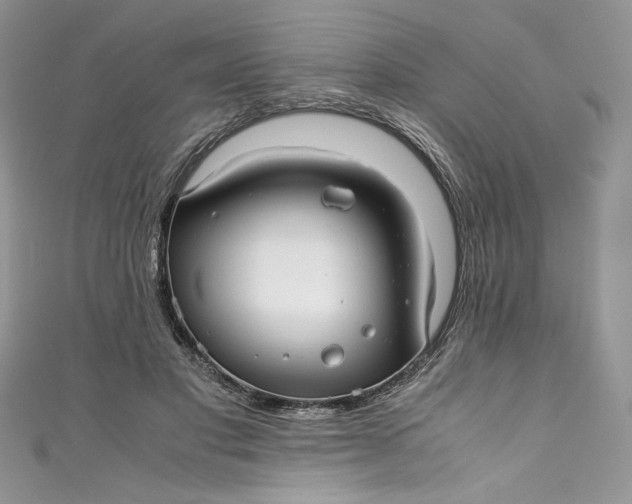 X0000111010501200907060958
